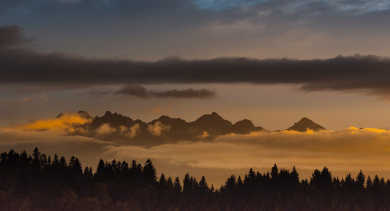 zdjęcia uczestników - Katarzyna Majewska